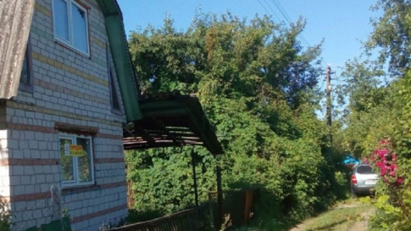 Віка стояла в молочному відділі. Вона гарно вдяглася, бо ще мала зайти на співбесіду. Нарешті вона вибрала молоко і тут чоловічий голос, прямо під вухом запитав: – Сьогоднішнє? Від несподіванки Віка впустила пакет і бризки потрапили їй на одяг. – Ну все, тепер на роботу точно не візьмуть, – подумала дівчина