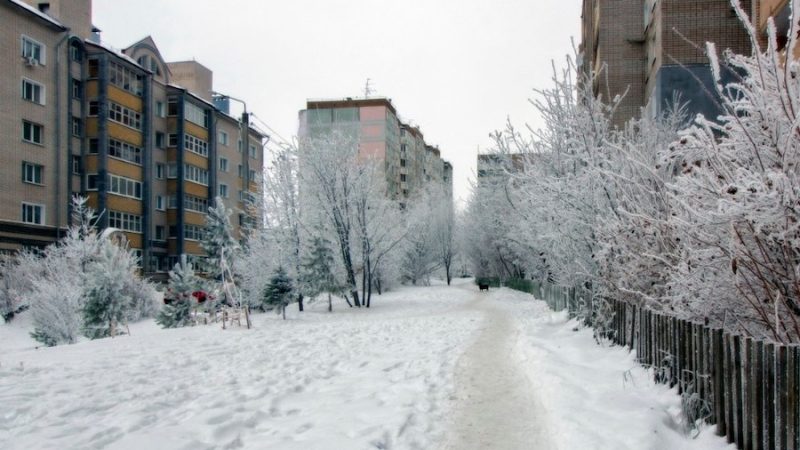 Оксана та Віктор збиралися одружитися. За місяць до весілля дівчина вирішила з’їздити в Київ, до тітки. Віктор провів наречену на вокзал. – Я дуже сумуватиму, – сказав він. – І я теж дуже-дуже,- усміхнулася Оксана. А за два днів Оксана перестала відповідати на його дзвінки, а потім від неї прийшло повідомлення: – “Весілля не буде. Забудь мене”. Віктор не міг повірити в те, що відбувається