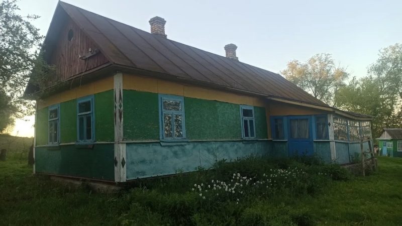 Світлана з Олексієм сиділи на кухні. – На городі від дощу картопля похилилася, – сказала Світлана. – Та й огірки ніяк не ростуть! Сусіди он огірочки вже їдять, і солять, і на зиму закривають! – Та й ну їх ті огірки! Виростуть! – сказав Олексій. – Я ось сон бачив сьогодні! Ти й не уявляєш, який дивний! Наче ми з тобою живемо в якомусь зовсім іншому будинку. У нас такі дивани оксамитові… Світлана раптом зиркнула на чоловіка. – Чекай, так я ж теж це бачила! – тільки й сказала вона