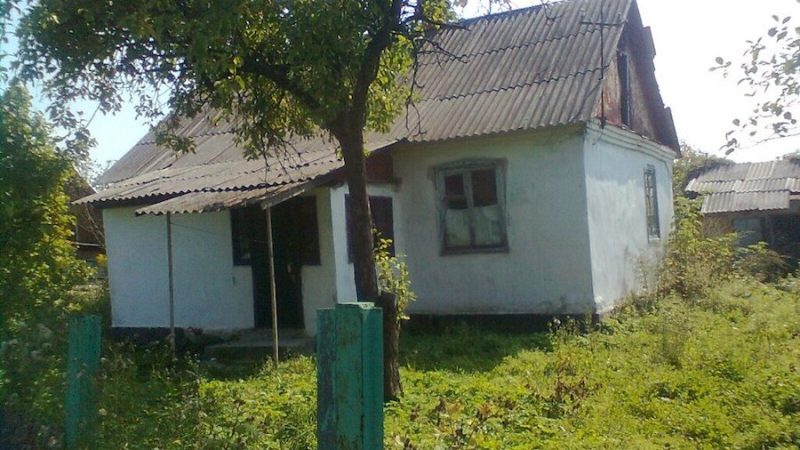 Галя приїхала в село у бабусин будиночок. У неї була відпустка і вона хотіла відпочити сама на природі. Вона взяла свої дві сумки, рюкзак, діловито відкрила стареньку хвіртку і зайшла у двір. – Оце так, – подумала вона глянувши на заросле бурʼяном подвірʼя і старезну бабусину хатину. – Зате тут тиша і спокій, ніхто не набридатиме! – вирішила вона і весело зайшла в хатину. Вона закрила двері і взялась розбирати речі. Раптом вона почула звук ключа у замку! Галина аж застигла від здивування