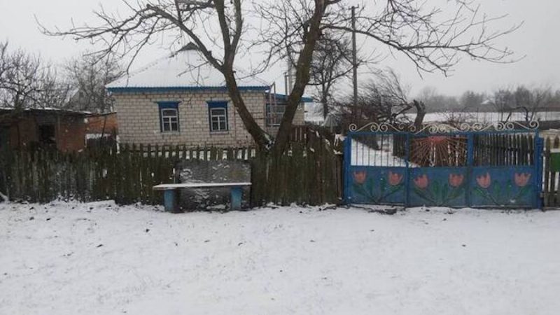 Сергій ішов до свого хрещеного батька Олега. Він збирався пригостити його кутею і привітати з Різдвом. Нарешті він добрався до будинку і постукав у двері. Олег на нього чекав. – Привіт, Сергію! Я вже думав, ти й забув мене цього року, – радісно сказав хрещений. – Зі святом, Олеже, – сказав Сергій. – Щастя тобі, здоров’я… – Дякую, синку! – сказав хрещений. – Заходь. Буду тобі подарунок твій показувати! Олег хитро примружився. – Подарунок? – здивовано запитав Сергій. – Ходімо, зараз все покажу! – з усмішкою сказав Олег. Сергій зайшов у вітальню і так і застиг на порозі від побаченого