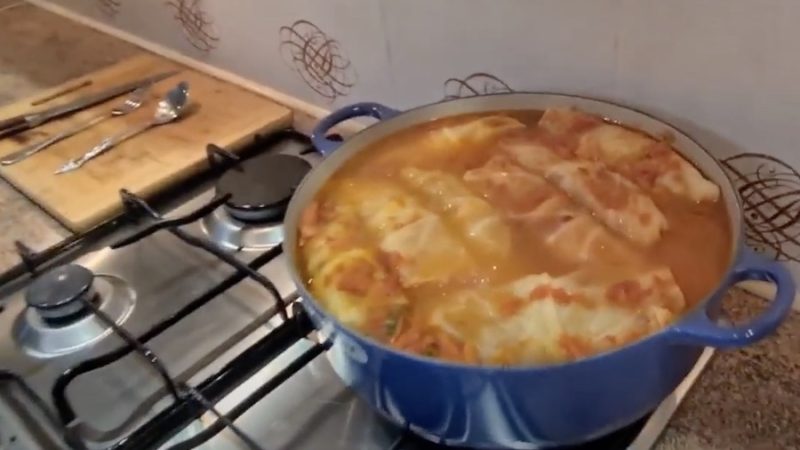 Аліна вже дві години крутилася на кухні – готувала голубці й печеню. Раптом пролунав дзвінок у двері. На порозі з сумками в руках стояла її свекруха Ольга Миколаївна. – Ось, любі мої, – сказала свекруха. – Наготувала вам все, та ще й привезла! Їжте на здоров’я! Свекруха по-хазяйськи зайшла на кухню, дістала тарілки, налила з баночки борщ і поставила грітися в мікрохвильовку. Вона дістала хліб і ще й салат у пластиковому лотку. – Все, як ти звик, синку, їж! – усміхалася Ольга Миколаївна. Аліна так і застигла з кришкою від каструлі в руці