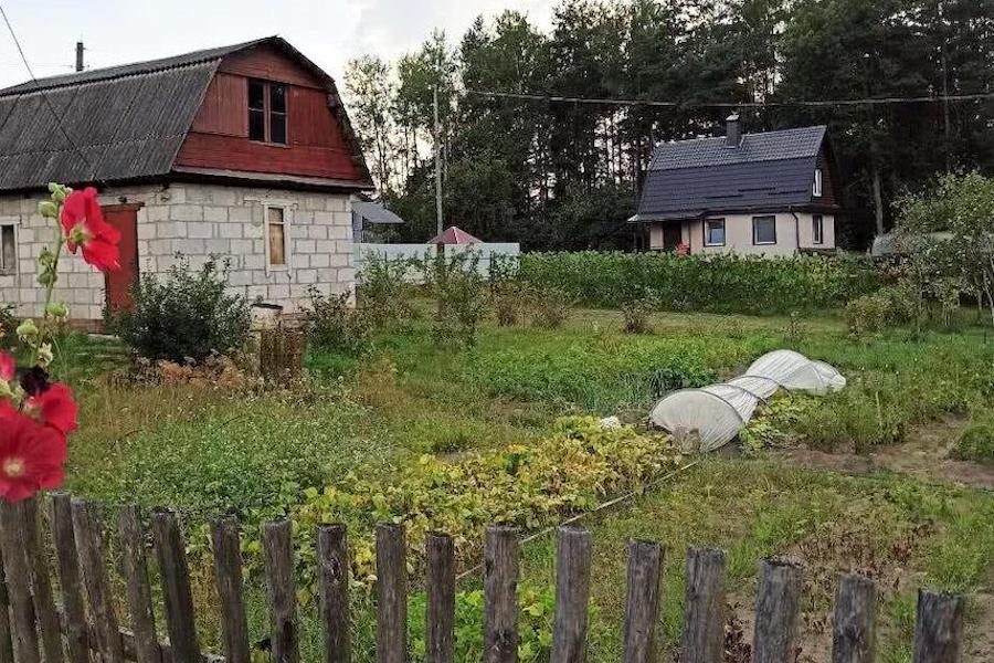 Марія вклала волосся на голові, взяла кошик із яйцями, і пішла до сусіда Петровича. Жінка підійшла до будинку. На ґанку сидів молодий чоловік у картатій сорочці. – Здрастуйте, а тут живе Петрович? – запитала Марія. – Моя бабуся попросила ножі наточити. – Здрастуйте, – сказав чоловік. – Проходьте, все зробимо! – Вибачте, а сам Петрович де? – здивувалась Марія. – Так я і є Петрович! – раптом сказав чоловік. – А бабуся сказала, що він дід… – застигла Марія. Чоловік раптом якось дивно глянув на неї. – Був я дідом, – сказав він. – Але нещодавно я відкрив одну таємницю… Марія застигла від здивування