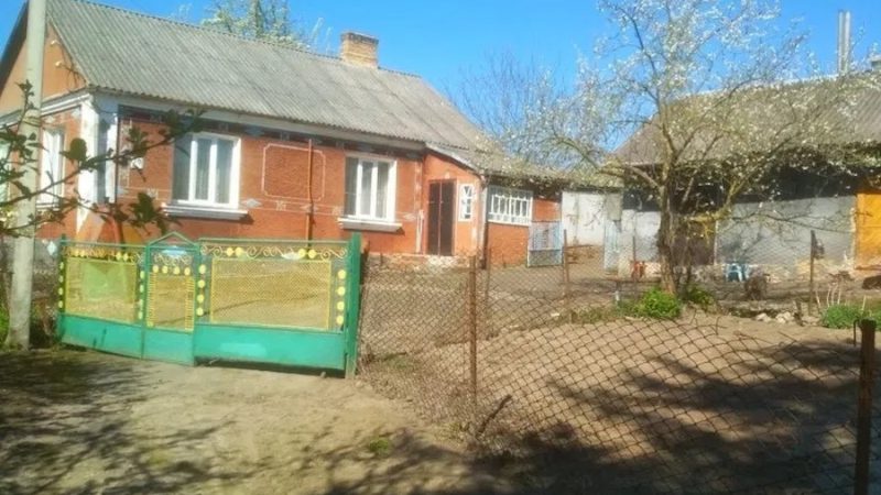 В Галини сталася біда, не стало її єдиного синочка. Жінка приїхала до невістки, допомогла все організувати, провела сина в останню путь. Після прощання Галя поїхала до себе додому і потяглися її дні сповнені сліз. На сорок днів замовила службу, влаштувала обід. Коли люди почали розходитися до Галини підійшла невістка Катя, відкликала її в бік. – Тітко Галю, я маю вам дещо сказати, – почала Катя і зупинилася, не наважуючись продовжити. – Та кажи вже, мене вже нічим не здивуєш, – байдуже відповіла свекруха. Галина вислухала невістку і застигла, не в змозі повірити у почуте