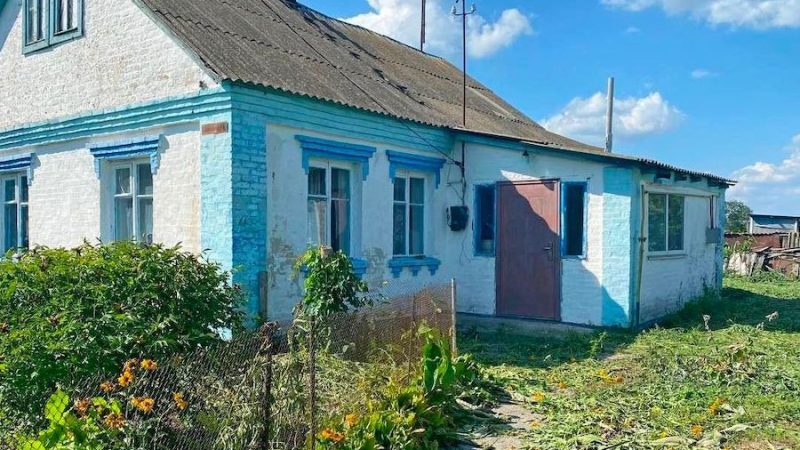 Баба Марія місила тісто і невдоволено бурчала: – Бач ти, на риболовлю він зібрався! Прямо вдома роботи нема! Грядки не полоті, ґанок он скрипить! Ну як тут не сваритися?! Ох і, лінивий, дід Матвій мій! Гультяй… Вона накрила тісто білим рушником, поставила на піч і сіла відпочити… Але де там! Задзвенів її телефон! Дзвонила внучка Настя. Баба Марія взяла слухавку. – Привіт, Настю. Щось сталося? Чого так рано дзвониш? Настя раптом зітхнула. – Ех, даремно я мабуть тобі подзвонила, бабусю! Біда у нас… Баба Марія застигла від поганого передчуття