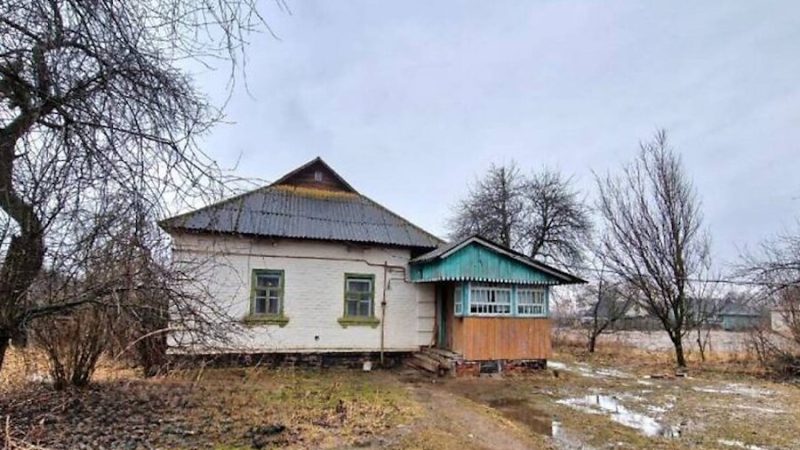 Марія кришила овочі на салат. Раптом хтось постукав у двері. Марія аж стрепенулася від несподіванки. – Хто там?! – насторожено запитала вона. – Я шукаю Олену Іванівну, – пролунав незнайомий голос. Марія відкрила двері. На порозі стояла якась молода жінка, яка тримала за руку дівчинку. – Ну, проходьте, – сказала Марія. Почувши розмову, бабуся Марії, Олена Іванівна, встала з ліжка, накинула на плечі старий фланелевий халатик. – У нас гості, бабусю! – гукнула її Марія. Старенька глянула на гостей і раптом заплакала. Марія не розуміла, що відбувається