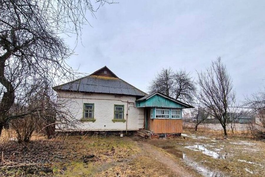 Марія кришила овочі на салат. Раптом хтось постукав у двері. Марія аж стрепенулася від несподіванки. – Хто там?! – насторожено запитала вона. – Я шукаю Олену Іванівну, – пролунав незнайомий голос. Марія відкрила двері. На порозі стояла якась молода жінка, яка тримала за руку дівчинку. – Ну, проходьте, – сказала Марія. Почувши розмову, бабуся Марії, Олена Іванівна, встала з ліжка, накинула на плечі старий фланелевий халатик. – У нас гості, бабусю! – гукнула її Марія. Старенька глянула на гостей і раптом заплакала. Марія не розуміла, що відбувається