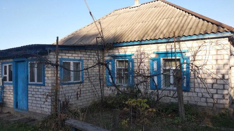 Леонід Павлович прокинувся рано, із посмішкою на вустах. Йому снилася його покійна дружина Віра… Така гарна вона була у цьому сні! Леонід встав, застелив ліжко і пішов у ванну. Невдовзі, чоловік вийшов на кухню і вирішив посмажити собі яєшню. Щойно Леонід взяв сковорідку, як за вікно почувся радісний гавкіт його песика Тимка! Чоловік одягнувся і вийшов на ґанок. Він здивовано озирнувся навкруги, як раптом його погляд зупинився на кущах троянд… Леонід придивився й застиг від побаченого