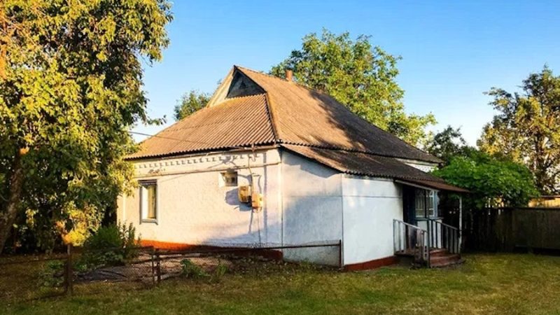 Надія Василівна насипала курочкам зерна, трохи підмела на подвірʼї й пішла на кухню. – Господи, вже девʼята вечора, а я ще навіть не повечеряла! – вигукнула вона. Жінка швиденько начистила картопельки, зробила простенький салатик і дістала трохи хліба. Щойно вона сіла за стіл, як раптом на подвірʼї почувся якийсь шум. – Невже прийшов хтось? – здивовано пробурмотіла старенька. – Так пізно вже… Вона поволі встала з-за столу і вже збиралася йти на вулицю, як раптом вхідні двері відчинилися самі! Надія Василівна глянула за поріг і не повірила своїм очам