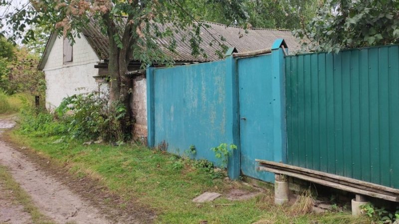 Марія Федорівна підмітала подвірʼя, як раптом відкрилася хвіртка і перед нею постав її зять Дмитро. – О, зятьку! – сплеснула руками жінка. – А ти чого тут? – Здрастуйте, – сказав Дмитро. – А я вам дах полагодити приїхав. – Он як… – сказала жінка. – Ну, ремонтуй. – Точно, наробив щось зятьок, якщо сам приїхав. Але питати не буду. Сам розповість, – вирішила Марія Федорівна… Минув тиждень. – Дмитре, а тобі на роботу не пора? – не витримала жінка. – Маріє Федорівно, тут така справа… Навіть не знаю, як сказати. Я залишаюсь тут! – Як це тут?! – Марія Федорівна очі вирячила від здивування