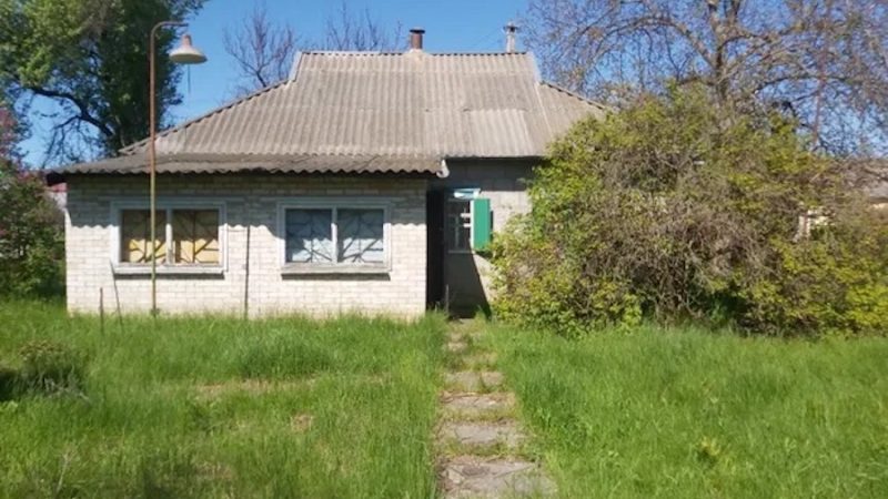 Ніна переїхала з міста в село. Її бабусі не стало рік тому і жінка оселилася в хаті старенької. Ніна зробила генеральне прибирання в будинку. Залишалося ще прибрати бурʼяни на городі. Ніна вирішила почати з грядки, де раніше в бабусі росла морква. Обробивши половину грядки, жінка сіла на лавку, щоб перепочити і раптом її увагу привернув сусідський будинок… Ніна знала, що колись там жила баба Валя, покійна подруга її бабусі. Потім кілька років будинок стояв покинутим, а зараз… Ніна глянула на сусідське подвірʼя й оторопіла від побаченого