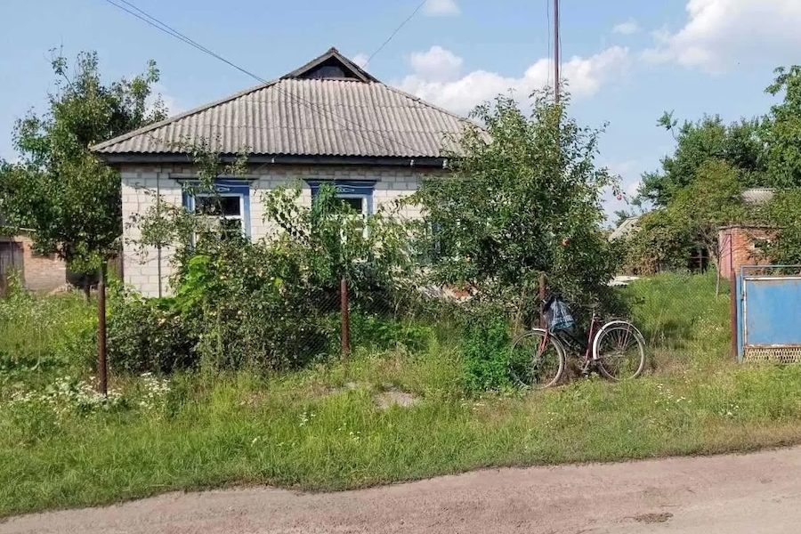 Микола садив картоплю на городі, як раптом за воротами зупинилася якась чорна машина. – Що це в нас там за незвані гості? – пробурмотів він, і глянув на свою дружину Марію, яка йому допомагала. Чоловік відклав лопату й поволі пішов до хвіртки. Марія поспішила за чоловіком. За воротами метушилися якісь люди. То була тітка Миколи, Тетяна, яка приїхала з усім своїм сімейством. Вони діставали ящики з картоплею з багажника, як раптом глянули на хату. – Це що таке?! – ахнула тітка. – Миколо, ти чого тут?! Тітка Тетяна не розуміла, що це таке відбувається