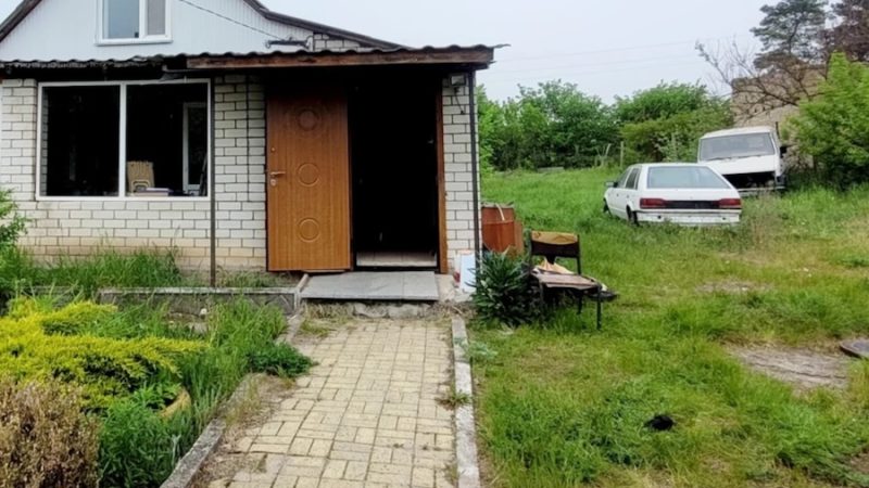 Єва приїхала до матері в село. Раптом хтось постукав у двері й Марина Павлівна побігла відчиняти. Оскільки собачка на вулиці не загавкав, значить, на подвірʼя зайшов хтось із знайомих. – Здрастуйте, налийте мені вашого борщу, – почувся жвавий голос незнайомки. – Ага, зараз, люба, давай свою каструльку, – єлейним голоском сказала Марина Павлівна і загриміла посудом. Єва ледве стрималася, щоб не вийти в коридор і подивитися на непрохану гостю, її прямо розпирало від цікавості. Незабаром мати повернулася. – Це кому ти там їжу роздаєш? – запитала дочка. Мати раптом зніяковіла. Єва не розуміла, що відбувається