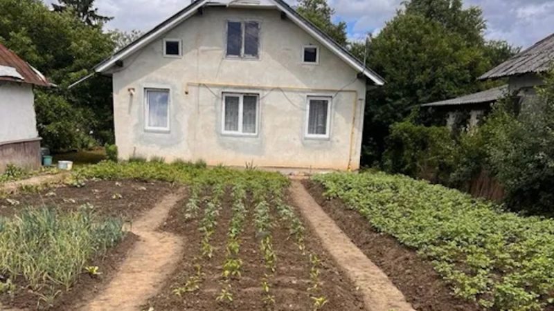 Олеся з чоловіком вечеряли, коли задзвонив телефон Михайла. – О, мама дзвонить, – сказав чоловік, підняв слухавку і вийшов у іншу кімнату порозмовляти. Повернувся Михайло за декілька хвилин. – Що хотіла Тетяна Анатоліївна? – запитала Олеся. – Мама, запрошує нас у гості, – якось сумно сказав чоловік. – Чудово, поїдемо, – усміхнулася жінка. – Олесю, вона не хоче, щоб ти приїжджала. Сказала щоб був тільки я та діти, – несподівано додав Михайло. – А чому вона не хоче мене бачити? – не зрозуміла дружина. Михайло важко видихнув, зібрався з думками і передав слова матері дружині. Олеся вислухала чоловіка і застигла від почутого