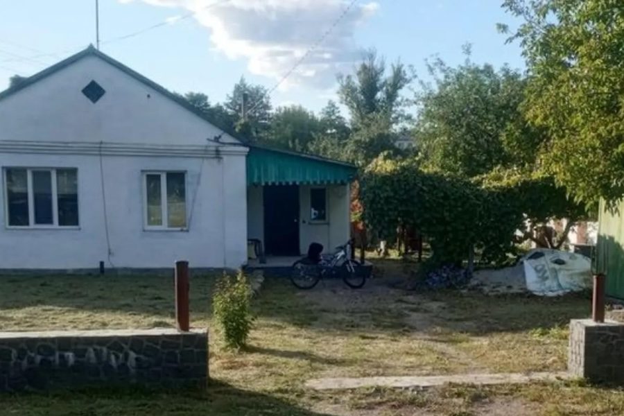 До Антоніни приїхали гості – дві доньки зі своїми чоловіками. Всі посідали за стіл. Дивиться Антоніна, а чоловік її Насті все ніяк не вгамується! Так і в’ється навколо дружини. То стілець їй поправить, то відсуне, і все турбується, чи зручно їй. – Ой, та заспокойся, Микольцю! – сказала Настя. – Сідай, місця всім вистачає… А сама з гордістю поглядає навкруги – он яка про неї турбота! Антоніна встала й пішла в літню кухню. Там у неї стояли вергуни – спеціально для дочок приготувала, вони обожнювали ці ласощі. А біля кухні жінка раптом так і стала від несподіваного видовища