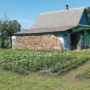 – Послухай мене, Андрію! – голос Діани аж дзвенів. – Я їду до своєї бабусі в село. І знаєш що? Можливо, я не повернуся! Її чоловік Андрій оторопів. Він хотів щось сказати, але Діана вже не слухала. Вона дістала валізу з шафи у коридорі. Речі летіли в валізу абияк – теплий светр, джинси, футболки… Минув тиждень у селі. Телефон Діани не замовкав від дзвінків і повідомлень Андрія. Вона не відповідала. Тільки надіслала коротке повідомлення: «Мені потрібен час подумати. Будь ласка, не дзвони». А якось Діана побачила на ґанку якусь коробку. Вона відкрила її й застигла від побаченого