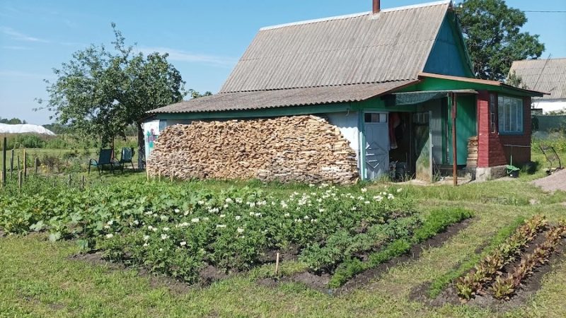 – Послухай мене, Андрію! – голос Діани аж дзвенів. – Я їду до своєї бабусі в село. І знаєш що? Можливо, я не повернуся! Її чоловік Андрій оторопів. Він хотів щось сказати, але Діана вже не слухала. Вона дістала валізу з шафи у коридорі. Речі летіли в валізу абияк – теплий светр, джинси, футболки… Минув тиждень у селі. Телефон Діани не замовкав від дзвінків і повідомлень Андрія. Вона не відповідала. Тільки надіслала коротке повідомлення: «Мені потрібен час подумати. Будь ласка, не дзвони». А якось Діана побачила на ґанку якусь коробку. Вона відкрила її й застигла від побаченого