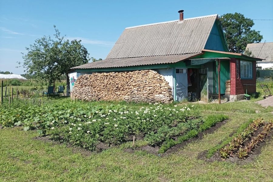 – Послухай мене, Андрію! – голос Діани аж дзвенів. – Я їду до своєї бабусі в село. І знаєш що? Можливо, я не повернуся! Її чоловік Андрій оторопів. Він хотів щось сказати, але Діана вже не слухала. Вона дістала валізу з шафи у коридорі. Речі летіли в валізу абияк – теплий светр, джинси, футболки… Минув тиждень у селі. Телефон Діани не замовкав від дзвінків і повідомлень Андрія. Вона не відповідала. Тільки надіслала коротке повідомлення: «Мені потрібен час подумати. Будь ласка, не дзвони». А якось Діана побачила на ґанку якусь коробку. Вона відкрила її й застигла від побаченого