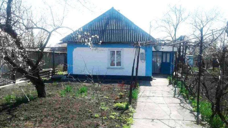 Світлана з Іваном і сином Мишком пішли в гості до сусідки. Віра Петрівна показала їм будинок, сад, і навіть льох і сараї! Але найбільше вразили всіх яблука… Такі смачні й солодкі вони були, що неможливо відірватися! Світлана з Іваном ходили по саду. – Боже, які ж гарні, як з картинки! – дивувалася Світлана. – А які смачні! – казав Мишко. – От і допомагайте збирати, будь ласка, – попросила Віра Петрівна. – І собі набирайте скільки хочете, і мені на варення. А ще сушити буду, компот робити… Сходили вони отак в гості, а через два місяці, баба Віра прийшла до Світлани з Іваном з несподіваною звісткою