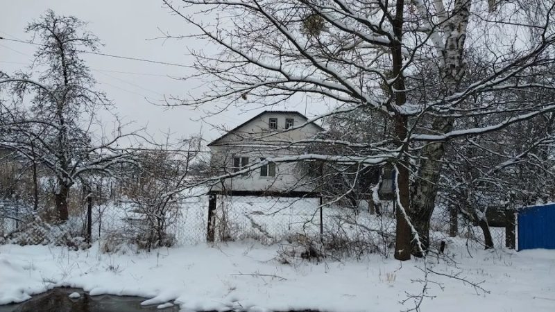 Ліза вдягла худі, штани і вʼязану шапку. Вона насипала коту побільше корму, додала води, взяла гаманець і телефон і поїхала на вокзал. Дівчина поспішала святкувати новий рік з Ігорем – своїм знайомим по переписці. Ліза дві години тряслася в приміській електричці, переписуючись із тим самим Ігорем, але він не зустрів її на вокзалі, як обіцяв! – Візьми таксі, – попросив інтернет-приятель, по телефону. – У мене машина зламалася! – Ну, все, – думала Ліза, сідаючи в машину. – Приїхала до незнайомого чоловіка, у незнайоме місто і їду до нього додому! Приїхавши за вказаною адресою Ліза застигла від здивування. Вона застала зовсім іншу людину