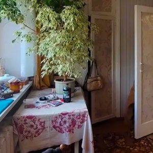 Наталя дуже посварилася з мамою. Вона перестала з нею розмовляти. Мама дзвонила, писала, просила її вислухати. Наталя ж її скрізь заблокувала. Дівчина не ходила на навчання, не зустрічалася зі своїм коханим Віктором. Так минув тиждень. Наталя лежала на ліжку сумна. Раптом у двері постукали. Але дівчина не відповіла. Замок був відчинений і хтось таки відкрив двері. Наталя глянула хто там прийшов до неї й застигла від несподіванки. То була її мама… Вона була дуже нещасною на вигляд, а в руках мама тримала… Наталя очам своїм не повірила