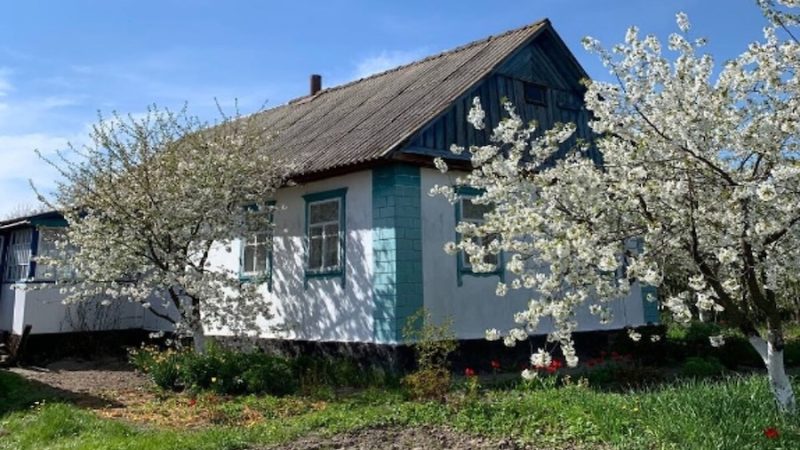 Софія Павлівна вирішила вийти заміж у шістдесят років. Але раптом проти цього виступила її невістка Лариса! – Якщо ви влаштуєте цю виставу, то краще до нас не приїжджайте! – заявила вона. – І про внука забудьте! Невістка поїхала. Софія Павлівна задумалася. Увечері вона подзвонила до свого нареченого Віктора. – Я не хочу втрачати зв’язок із сином й онуком, – пояснила вона. – Може, нам варто почекати чи… – Чи розлучитися? – тихо спитав він. – Софіє, я не хочу бути причиною твоїх сімейних проблем. Якщо треба – я відійду вбік. Весілля вирішили відкласти… А наприкінці вересня до Софії приїхав син Максим і завів несподівану розмову