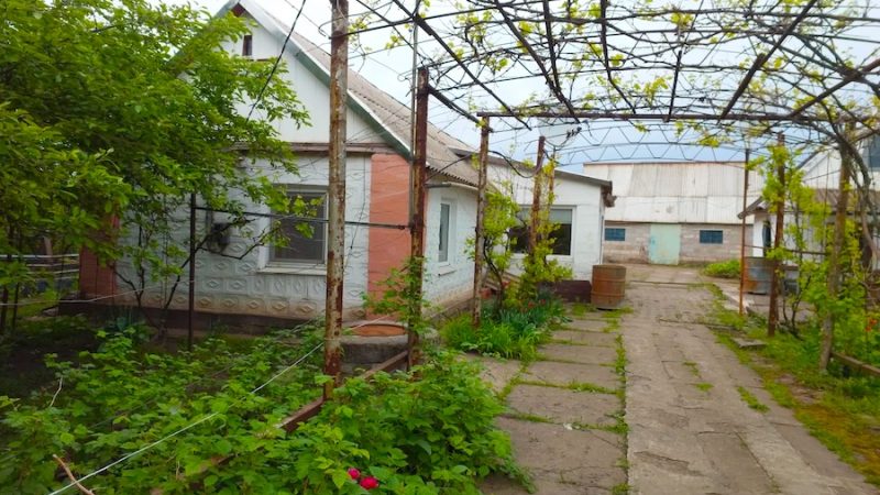 Ганна з чоловіком Олексієм і сином поїхали в село до свекрухи. Свекруха, дізнавшись по телефону, що до неї їдуть діти, зраділа. Вона зразу попросила купити їй розсаду. У неї своя посохла. Та ще й песик її заслаб і кіт. – Їй би наші турботи, робити нічого, от і сумує! – роздратовано бурчала собі під ніс Ганна. – Коти, собаки, розсада ця нещасна… Аби тільки, щоб ми приїхали! Ганна сама пішла вибирати розсаду. Вона вибрала найкращу, міцну, не перерослу… І ось вони в селі. Свекруха придивилася хто вийшов з машини окрім родичів і аж заметушилася від несподіванки
