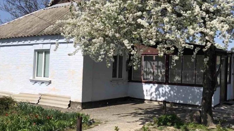 Валентина встала й попрямувала на кухню. Їй дуже хотілося пити. У темряві вона знайшла графин з морсом, поруч стояла склянка. Щось м’яке ковзнуло біля ніг. Валентина застигла. Жінка вже хотіла щось вигукнути, але згадала, що в домі пусто. Нікого ж нема. Діти поїхали на навчання, а потім і сім’ї там завели. Чоловіка немає, пішов, як діти стали дорослими, вирішив розлучитися і жити в місті. Валентина й сама не поїхала б, а дізнавшись про розлучення і чути не хотіла про це! Валентина клацнула вимикачем і руками сплеснула від побаченого