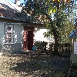 Сергій Васильович, зі своїм песиком, повертався із лісу. Проходячи повз старенький будиночок, пес раптом загавкав. Підняв вуха, а потім кинувся туди. – Стій! Це не наш дім! Ти куди? Не можна до чужих заходити, — почав сваритися господар, як раптом і сам щось почув. – Кошеня там, чи що? Невже господарі залишили його самого?! Сергій Васильович підійшов до дверей старого будинку і потягнув їх на себе. Двері несподівано відкрилися. – Дивно… Не замкнено! – здивувався чоловік. Сергій пройшов коридором, заглянув в кімнату і… застиг від побаченої картини