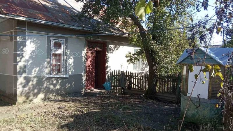 Сергій Васильович, зі своїм песиком, повертався із лісу. Проходячи повз старенький будиночок, пес раптом загавкав. Підняв вуха, а потім кинувся туди. – Стій! Це не наш дім! Ти куди? Не можна до чужих заходити, — почав сваритися господар, як раптом і сам щось почув. – Кошеня там, чи що? Невже господарі залишили його самого?! Сергій Васильович підійшов до дверей старого будинку і потягнув їх на себе. Двері несподівано відкрилися. – Дивно… Не замкнено! – здивувався чоловік. Сергій пройшов коридором, заглянув в кімнату і… застиг від побаченої картини