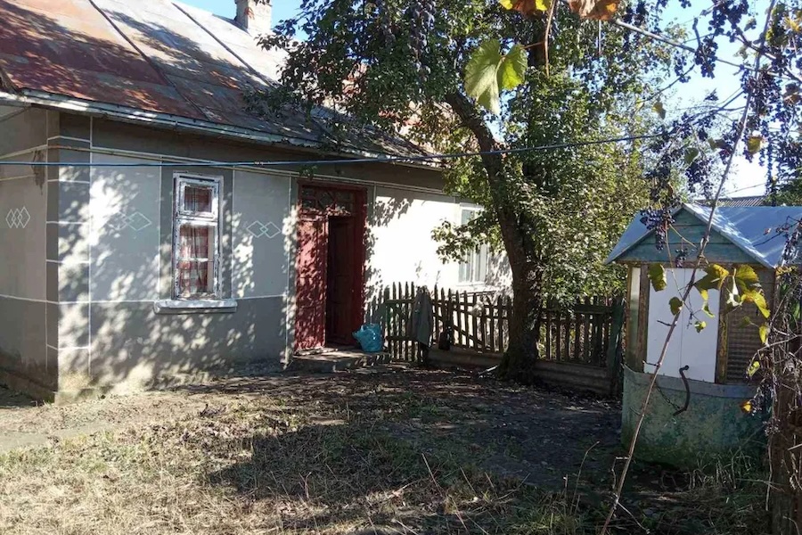 Сергій Васильович, зі своїм песиком, повертався із лісу. Проходячи повз старенький будиночок, пес раптом загавкав. Підняв вуха, а потім кинувся туди. – Стій! Це не наш дім! Ти куди? Не можна до чужих заходити, — почав сваритися господар, як раптом і сам щось почув. – Кошеня там, чи що? Невже господарі залишили його самого?! Сергій Васильович підійшов до дверей старого будинку і потягнув їх на себе. Двері несподівано відкрилися. – Дивно… Не замкнено! – здивувався чоловік. Сергій пройшов коридором, заглянув в кімнату і… застиг від побаченої картини